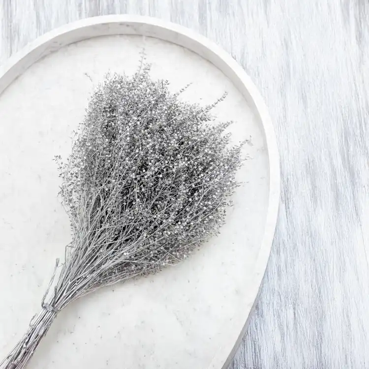 Lepidium Silver srebrne IT 4.png