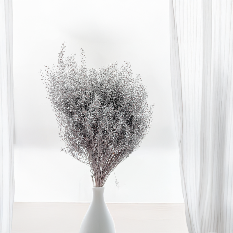 Lepidium Silver srebrne IT 2.png