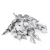 Populus SILVER Srebrny Stabilizowany.png