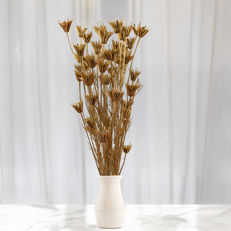 Nigella orientalis Złota IT 4.png