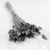 Kanar Silver IT 1.png