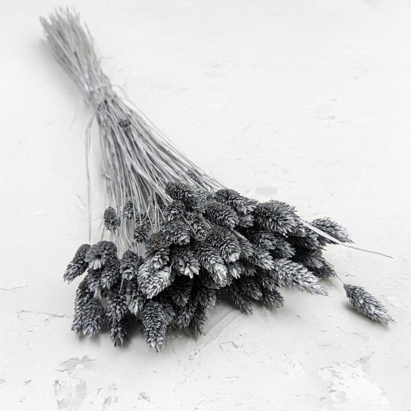 Kanar Silver IT 1.png