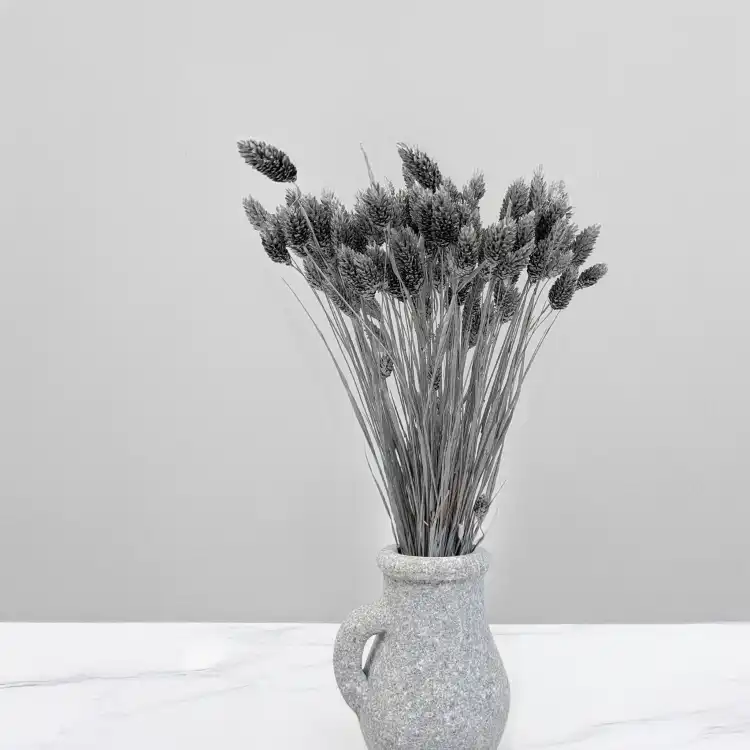 Kanar Silver IT 4.png