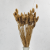 Kanar Gold IT 4.png
