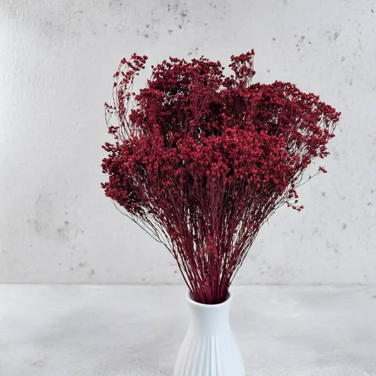 Broom Bloom Bordowy 4.png