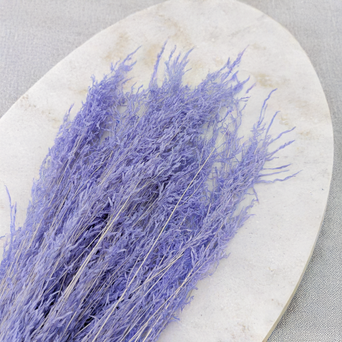 Briza Segromigno Lavenda 2.png
