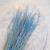 Briza Segromigno Sky Blue 1.png