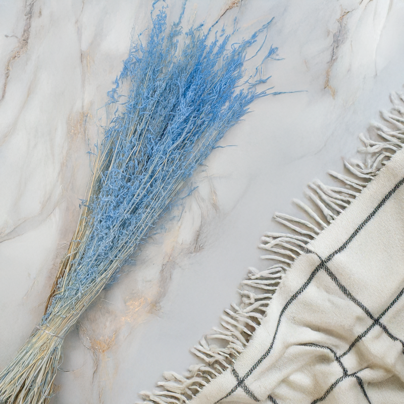 Briza Segromigno Sky Blue 2.png