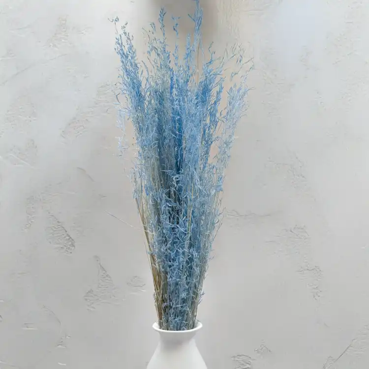 Briza Segromigno Sky Blue 3.png