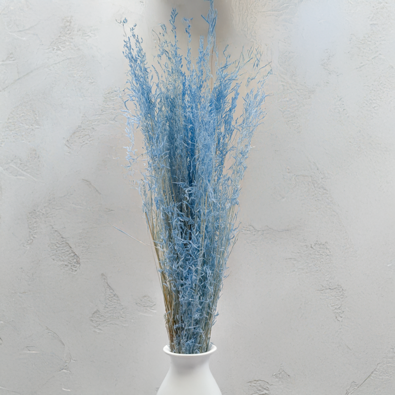 Briza Segromigno Sky Blue 3.png