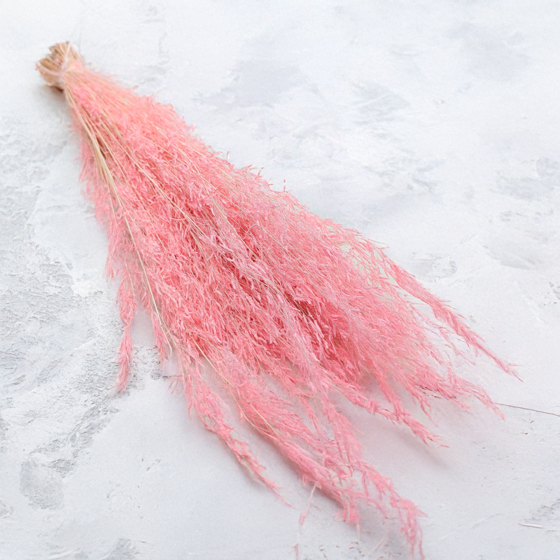 Briza Segromigno Pink.png