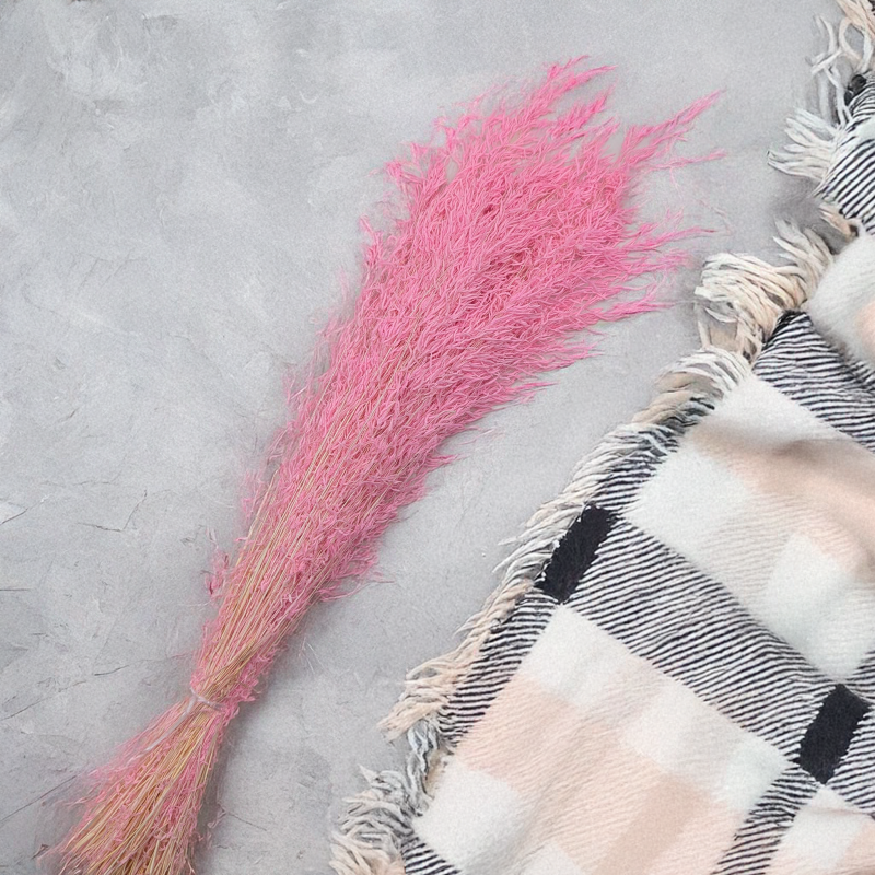 Briza Segromigno Light pink 2.png