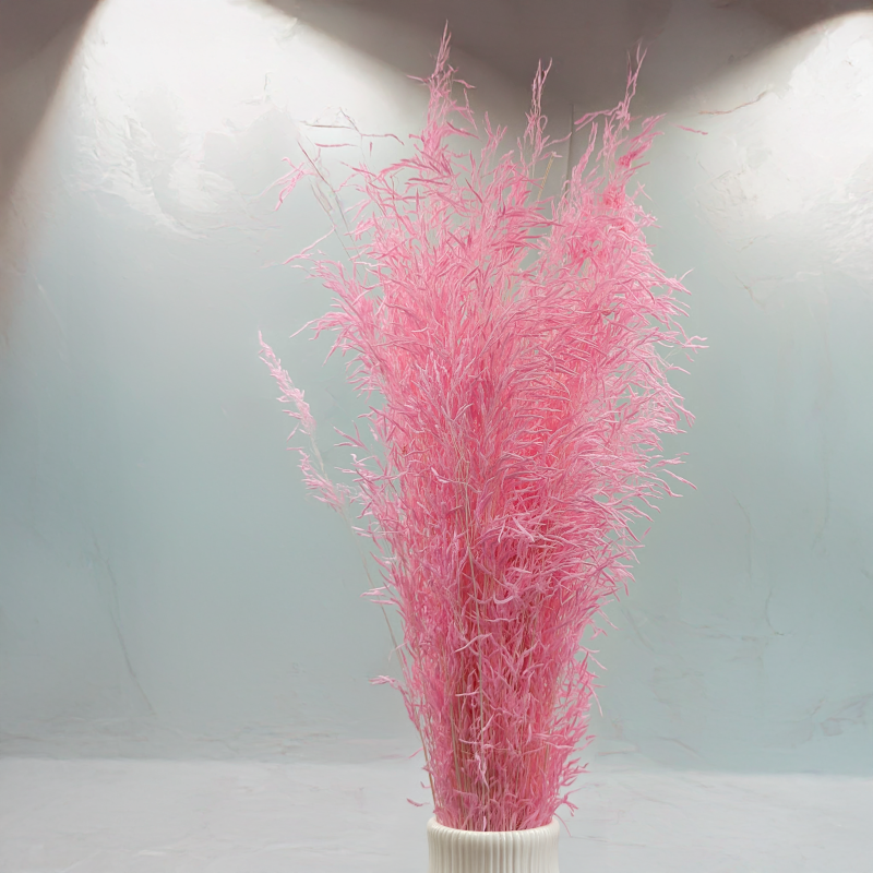 Briza Segromigno Light pink 3.png