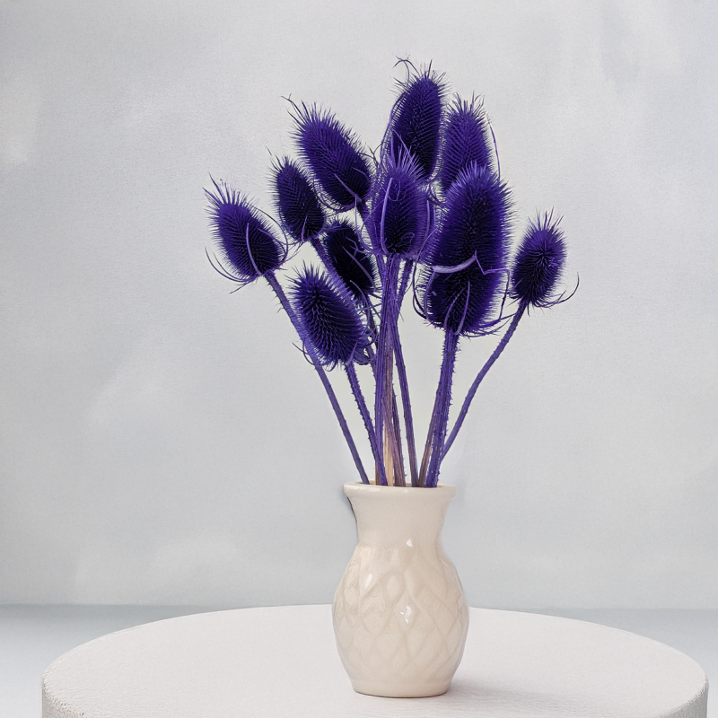 Oset niebieski II 3.png