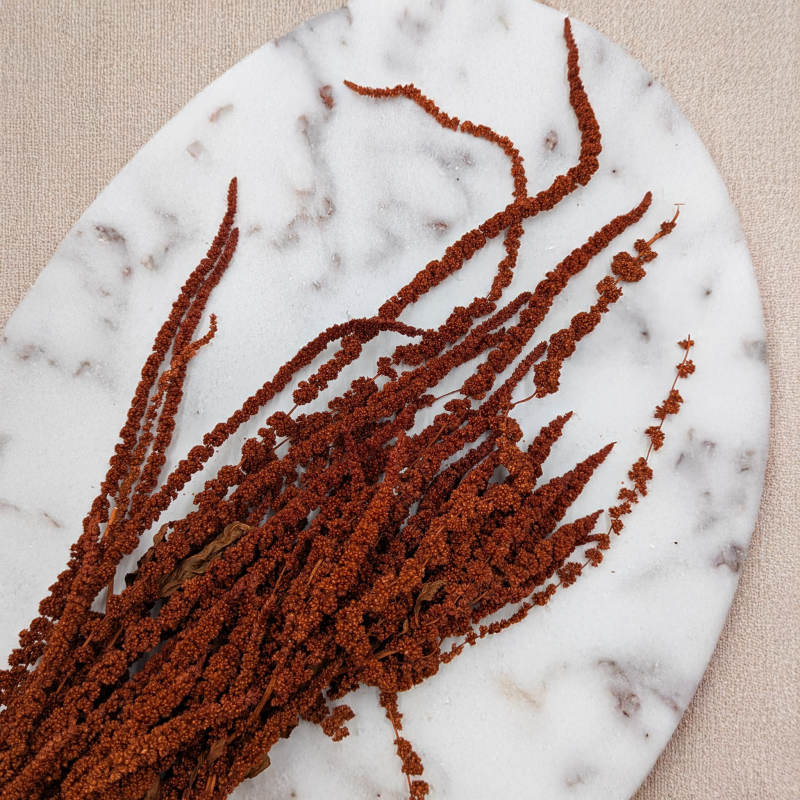 Szrałat dark terracotta 3.png