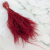 Stipa Bordo 2.png