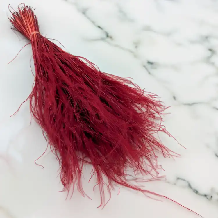 Stipa Bordo 2.png