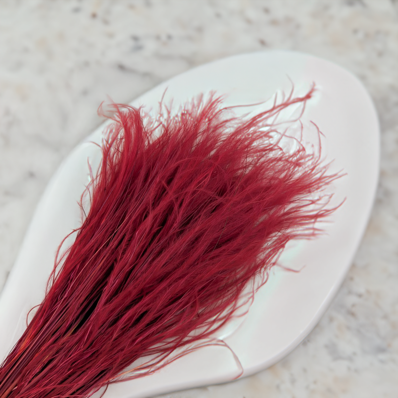 Stipa Bordo 4.png