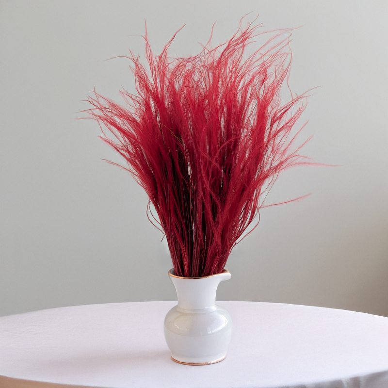 Stipa Bordo 6.png