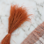 Stipa Ciemna terakota 3.png