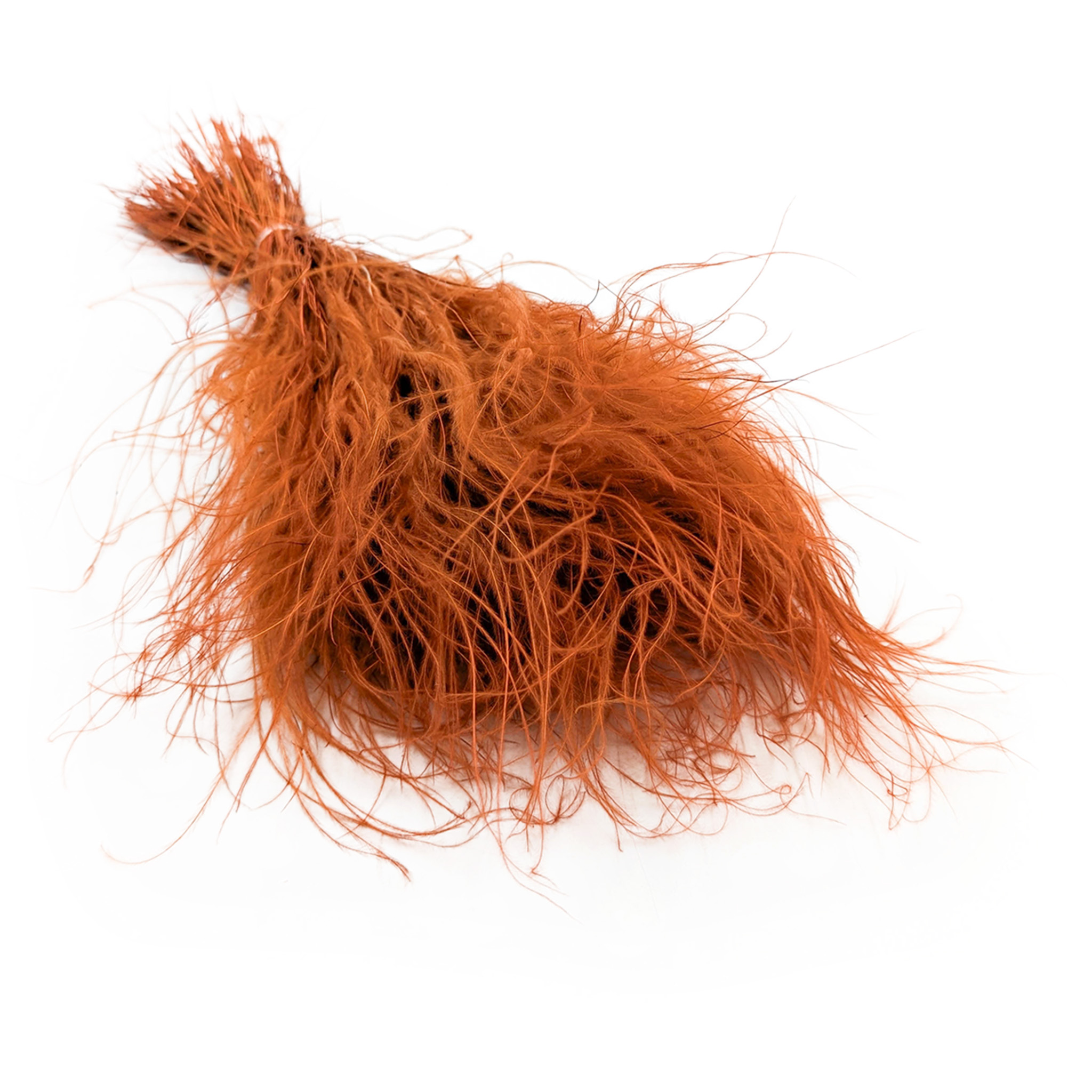 Federgras Getrocknete - (Stipa pennata) - Dunkle Terrakotta