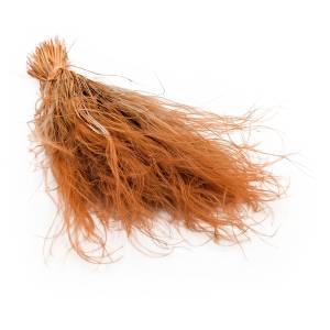 Federgras Getrocknete - (Stipa pennata) - Senfgelb