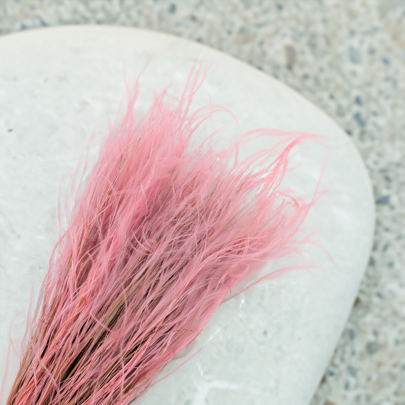 Stipa vintage pink 1.png