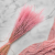 Stipa vintage pink 2.png