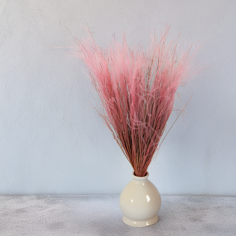 Stipa vintage pink 3.png