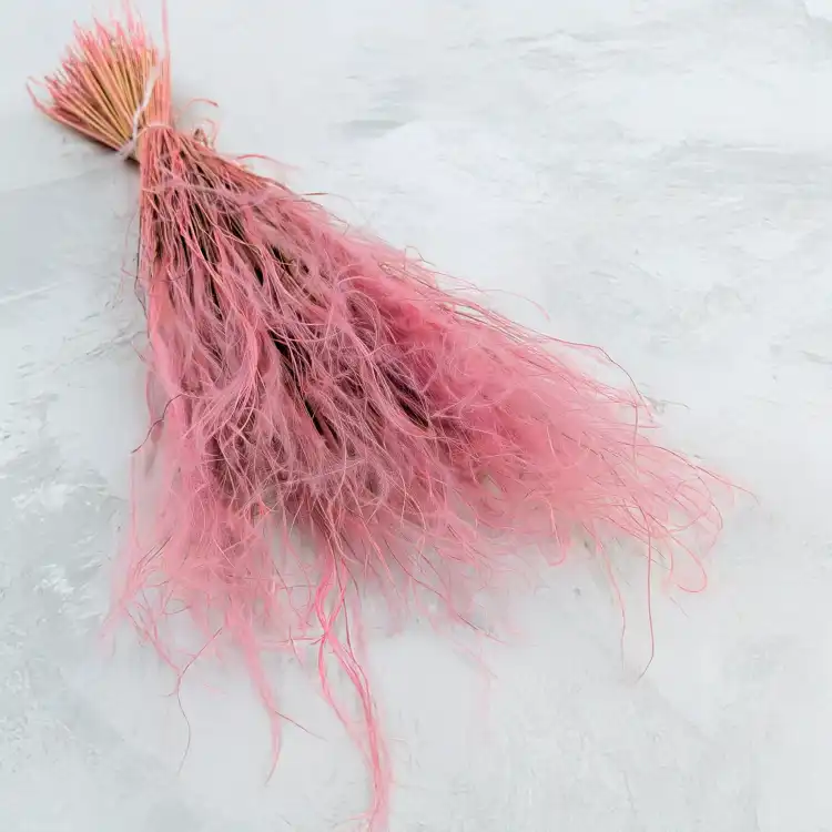 Stipa vintage pink.png