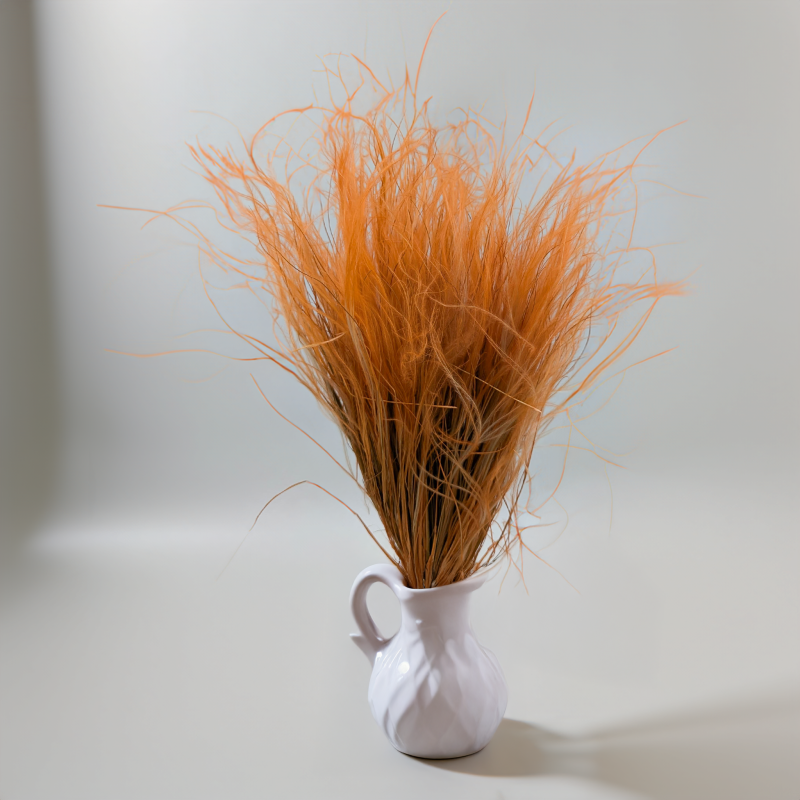 Stipa musztarda 3.png