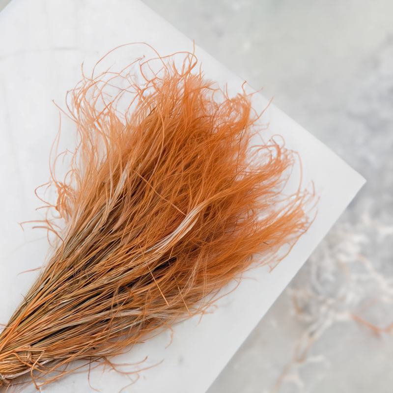 Stipa musztarda 1.png