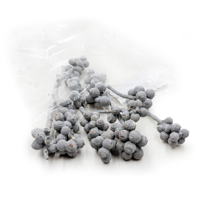 Eichelschmuck - (Weiß gewaschen) - exotisch getrocknet - 10 Stk.