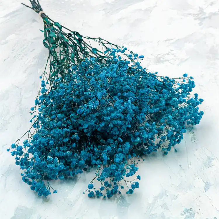 Gips Blue Royal 11 1.png