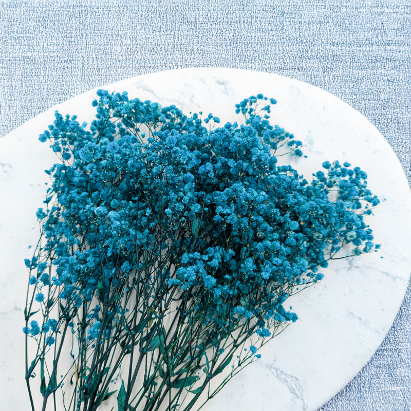 Gips Blue Royal 11 2.png