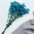 Gips Blue Royal 11 3.png