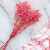 Gips Pink Royal 04 3.png