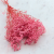 Gips Pink Royal 04 1.png
