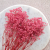 Gips Pink Royal 04 2.png