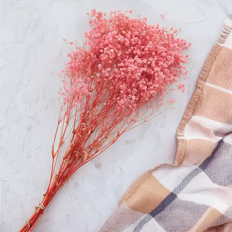 Gips Light Pink Royal 03 3.png