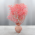 Gips Light Pink Royal 03 5.png