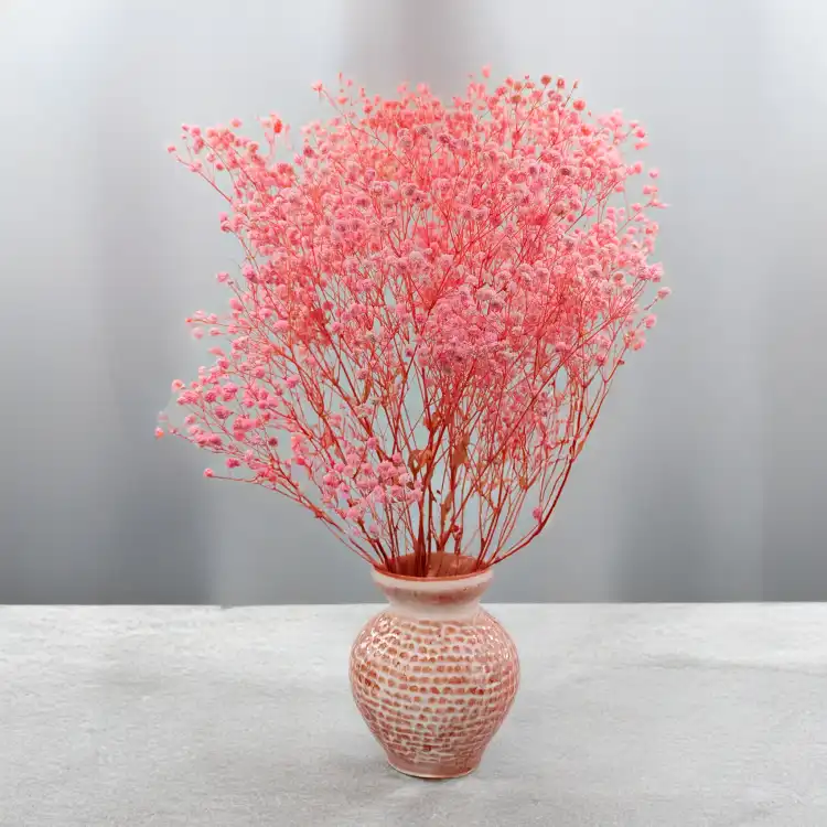 Gips Light Pink Royal 03 5.png