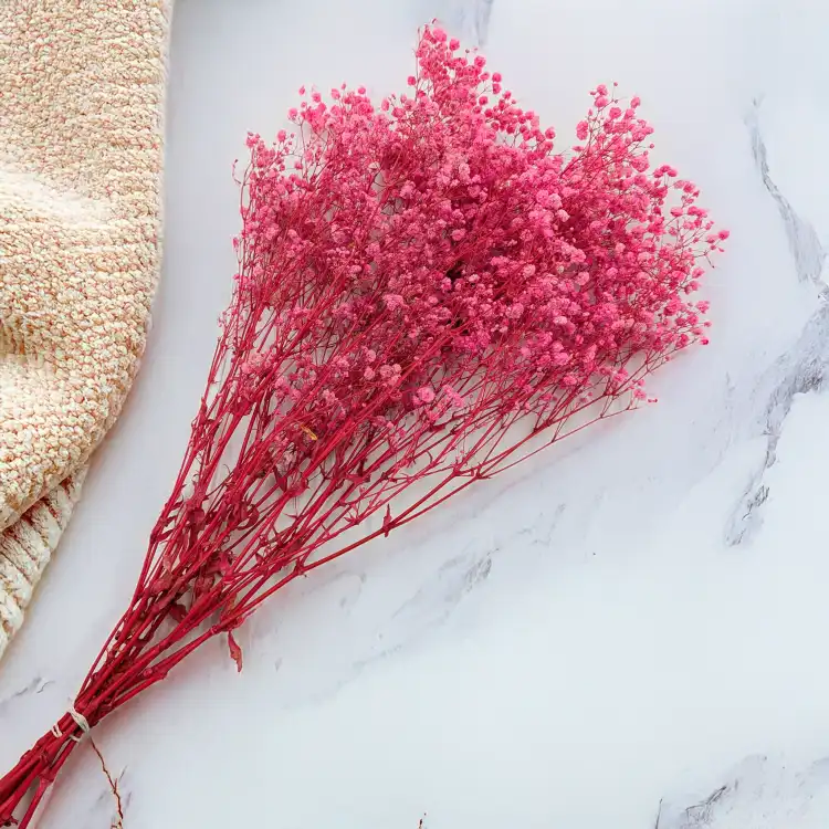 Gips Dark Pink Royal 05 3.png