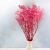 Gips Dark Pink Royal 05 4.png