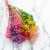 Gips Mix Royal 15 1.png