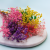Gips Mix Royal 15 2.png