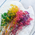 Gips Mix Royal 15 3.png