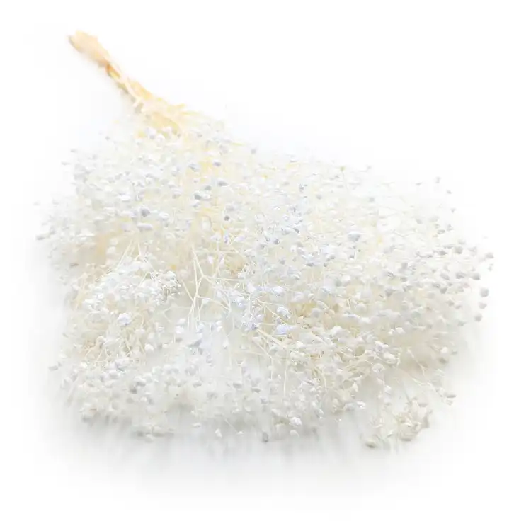 GIPS BLEACHED ROYAL BB 01_4.png