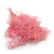 Gips Light Pink Royal 03.png
