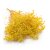 Gips Zolta royal 07 0.png